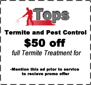Termite Coupon, Discount, Fort Worth, Texas area / www.topspestcontrol.com Termite Coupon, Discount, Fort Worth, Texas area / www.topspestcontrol.com